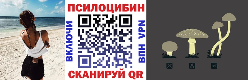 Галлюциногенные грибы GOLDEN TEACHER дарнет шоп Пущино
